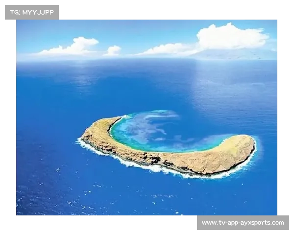 中国仁爱礁海底景观首次揭秘:菲军舰旁珊瑚生态遭受严重威胁 中国仁爱礁海底景观首次揭秘:菲军舰旁珊瑚生态遭受严重威胁